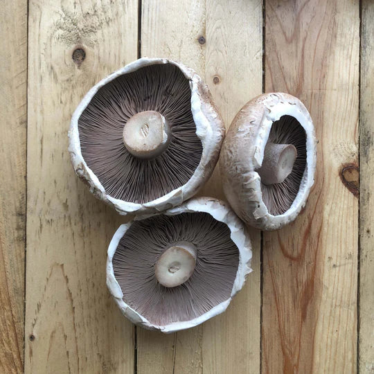 Organic Portobello Mushrooms 300g